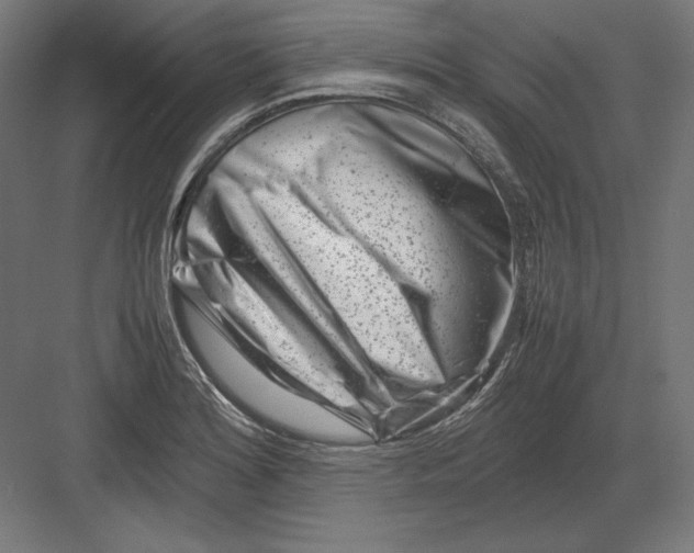 X0000082171180200702092236