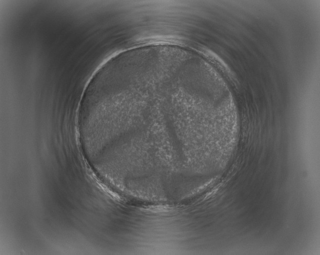 X0000082171182200702092236