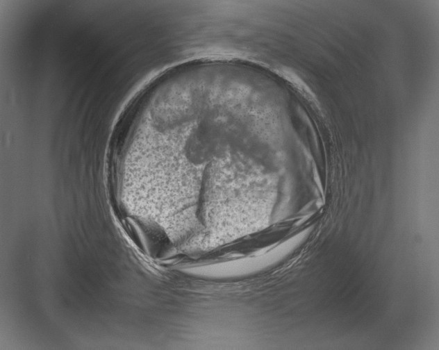 X0000082171183200702092235