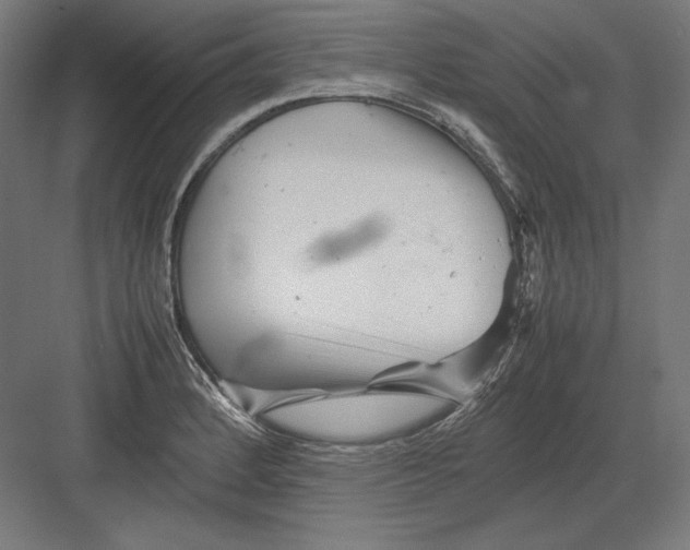 X0000082171184200702092235