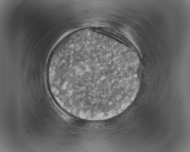 X0000082171187200702092235