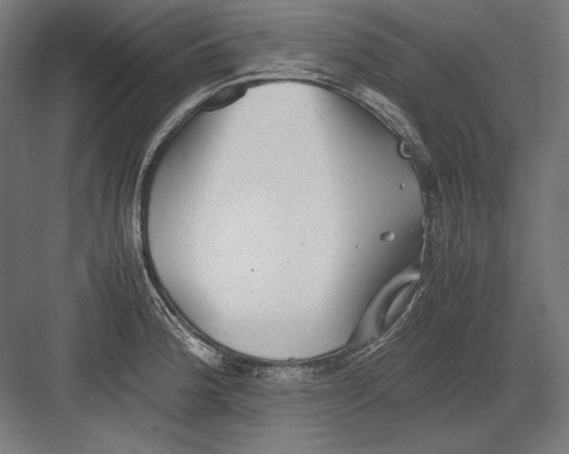 X0000082171188200702092235