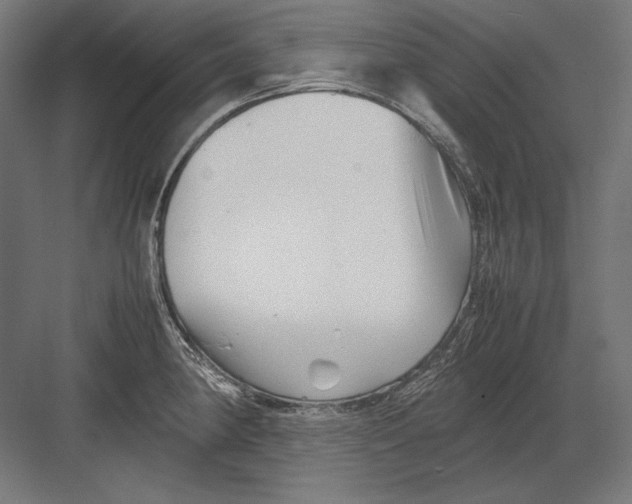 X0000082171190200702092235