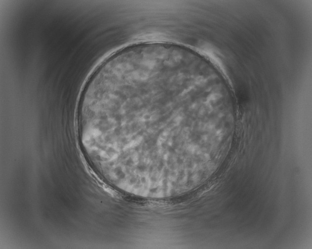 X0000082171191200702092235