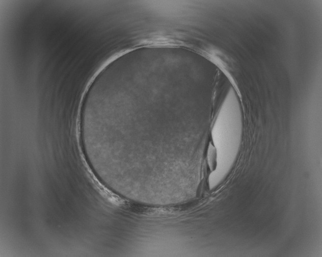 X0000082171195200702092235