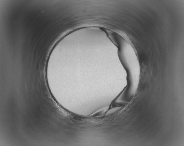 X0000082171197200702092235