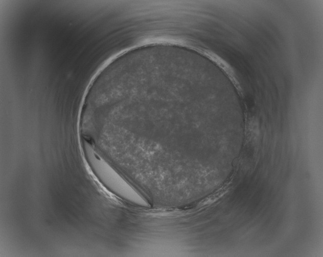 X0000082171199200702092235