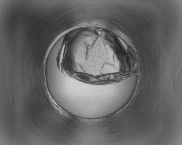 X0000082171200200702092235