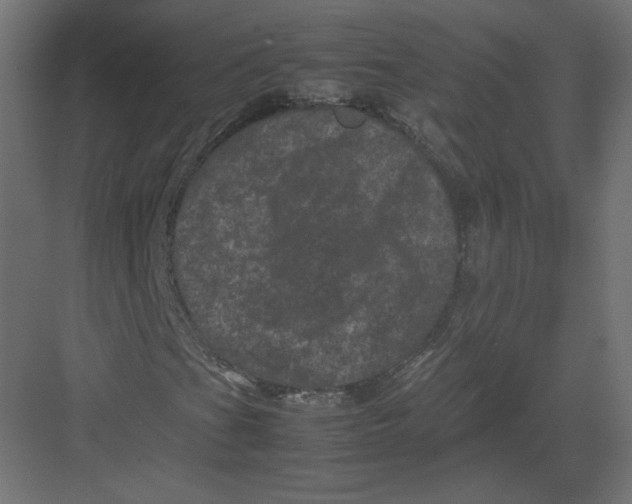 X0000082171201200702092234