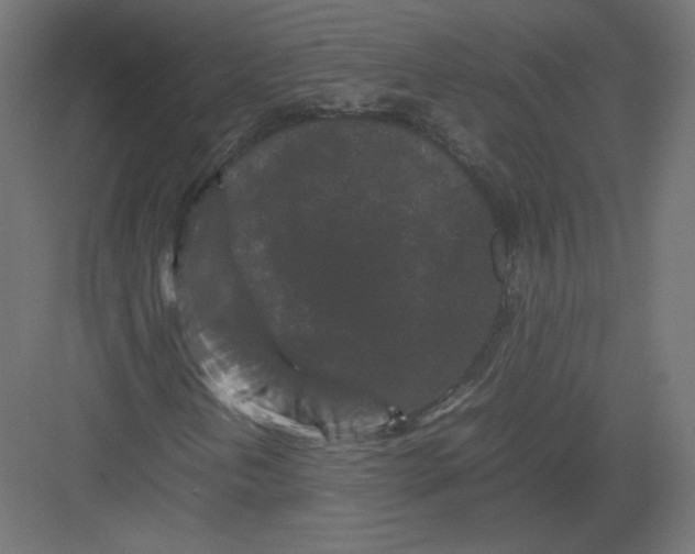 X0000082171202200702092234