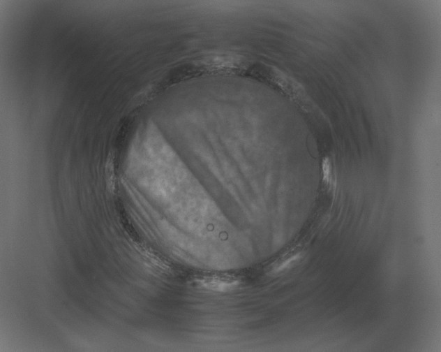 X0000082171203200702092234