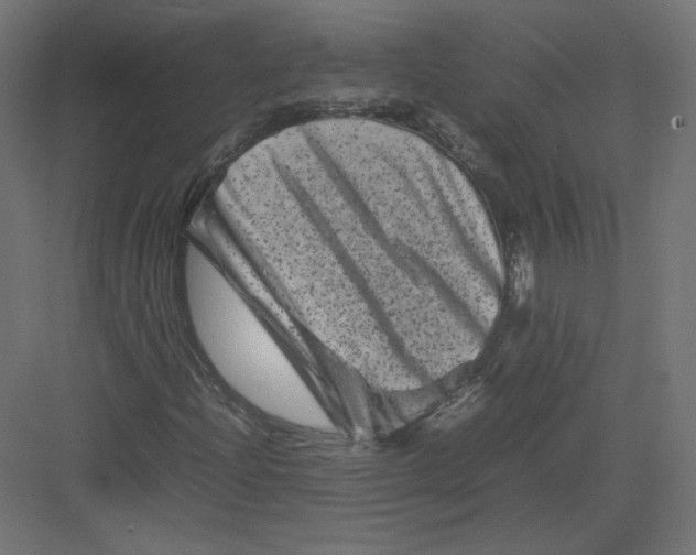 X0000082171204200702092234