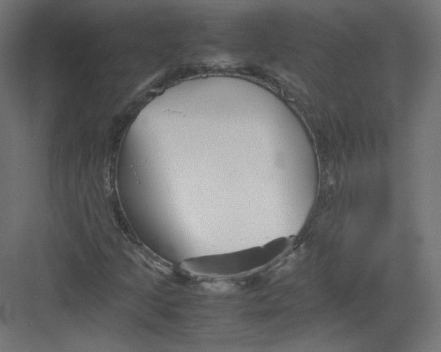 X0000082171205200702092234