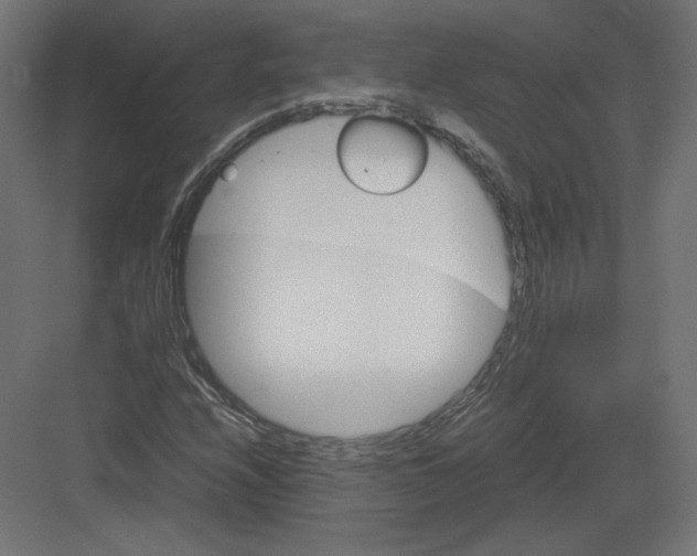 X0000082171208200702092235