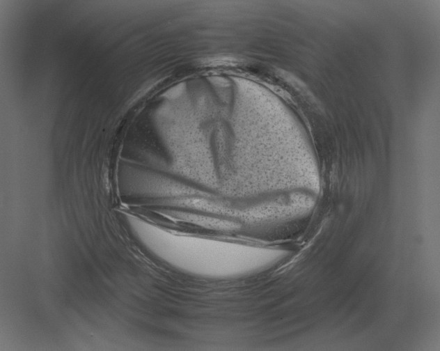 X0000082171209200702092235