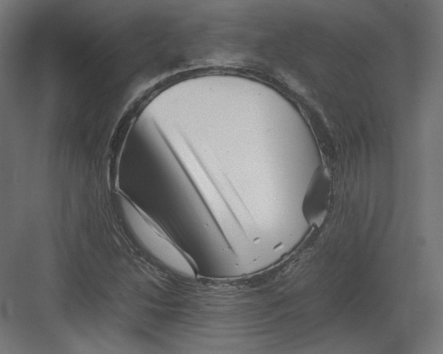 X0000082171214200702092235