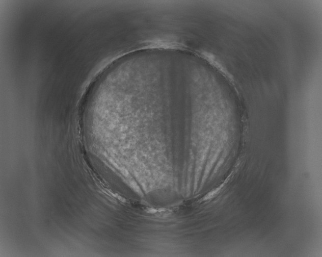 X0000082171215200702092235