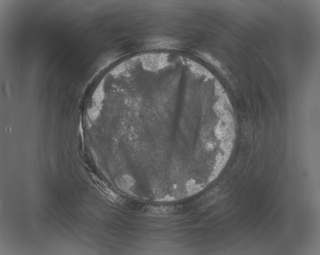 X0000082171219200702092235