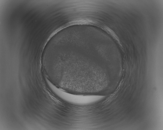 X0000082171226200702092235