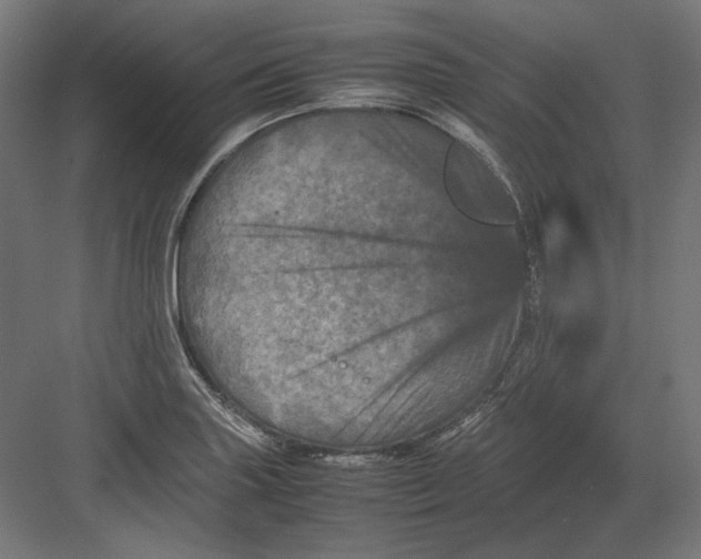 X0000082171227200702092235