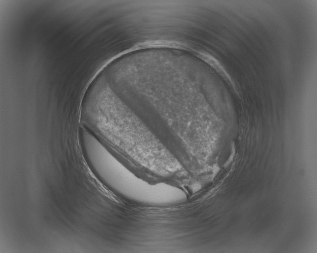 X0000082171228200702092235