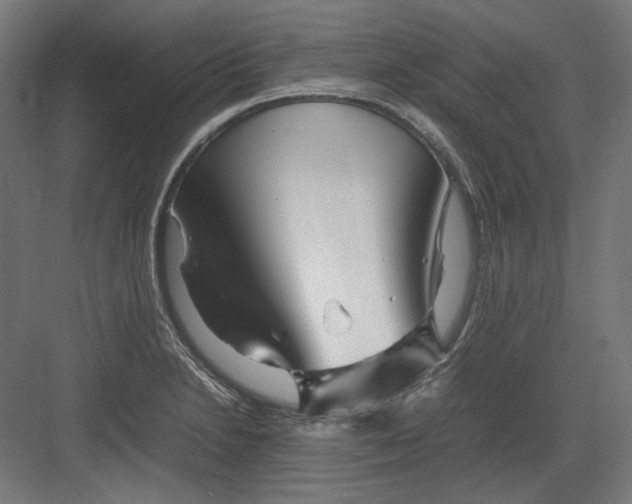 X0000082171230200702092235