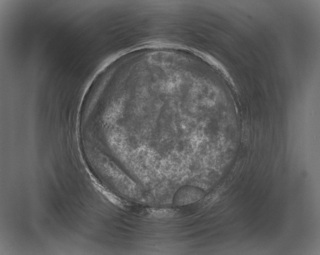 X0000082171231200702092235