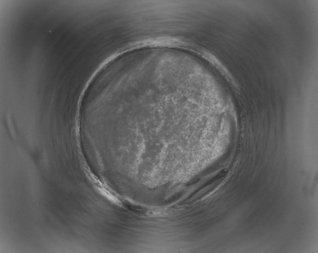 X0000082171232200702092235