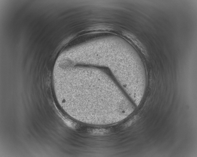 X0000082171233200702092235