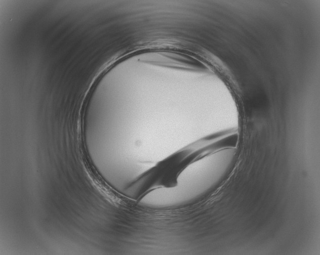 X0000082171234200702092235