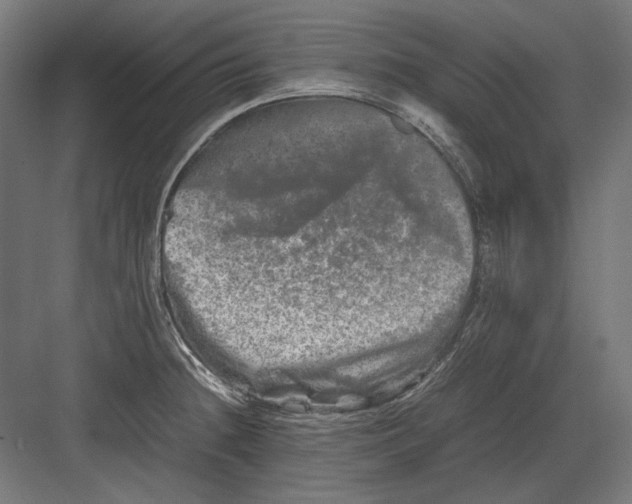 X0000082171236200702092235