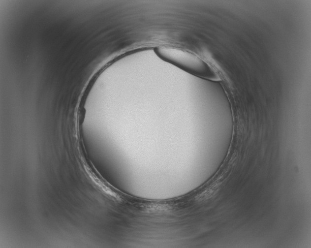 X0000082171238200702092235