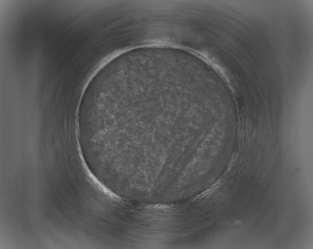 X0000082171239200702092235