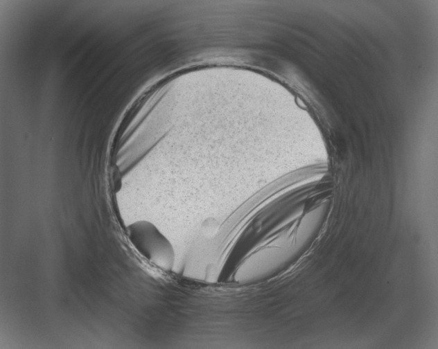 X0000082171240200702092235