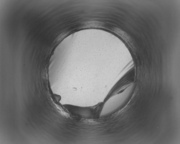 X0000082171241200702092235