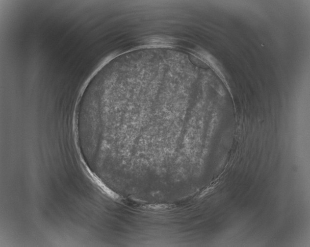 X0000082171243200702092235