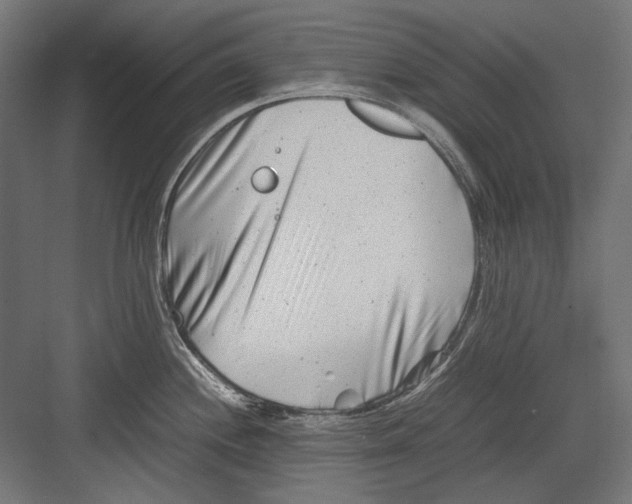 X0000082171244200702092235