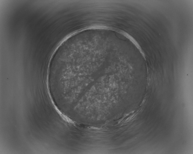 X0000082171245200702092235