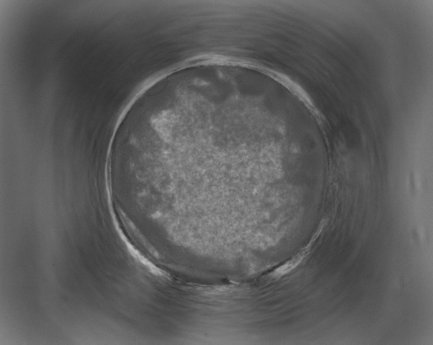 X0000082171247200702092235