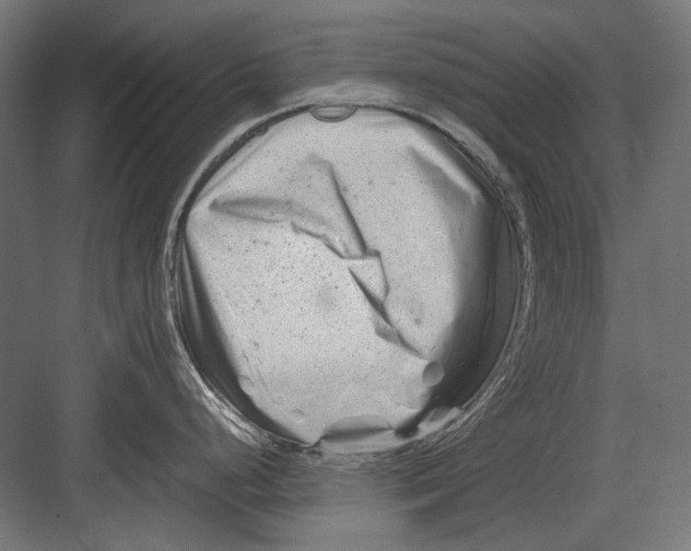 X0000082171248200702092235