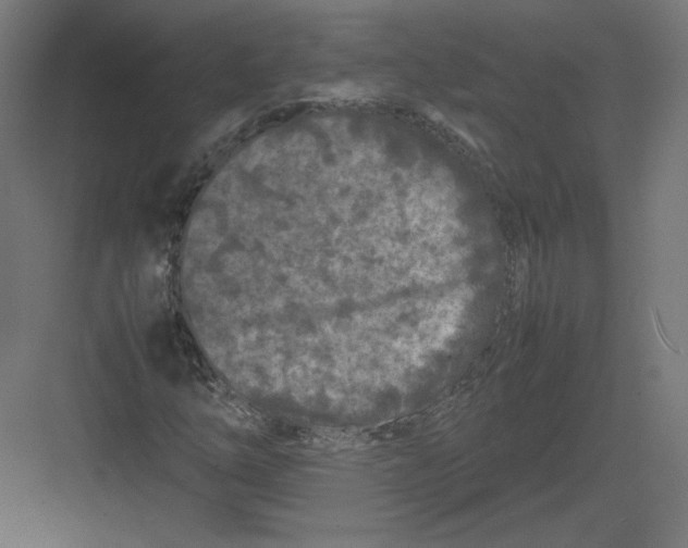 X0000082171254200702092234