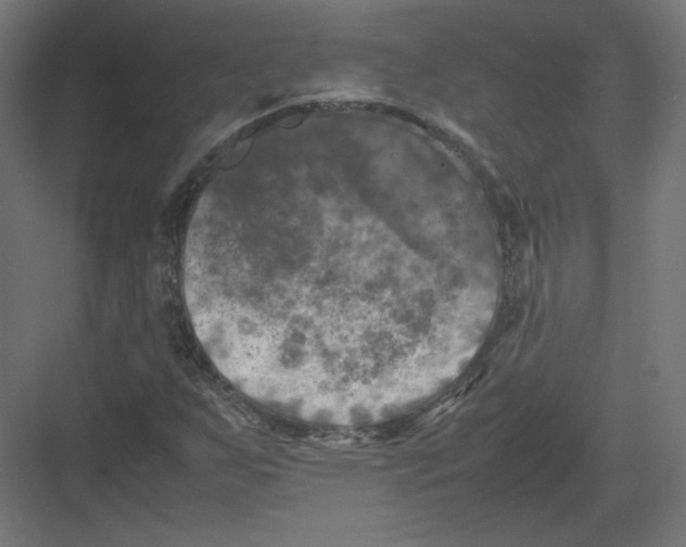 X0000082171255200702092234