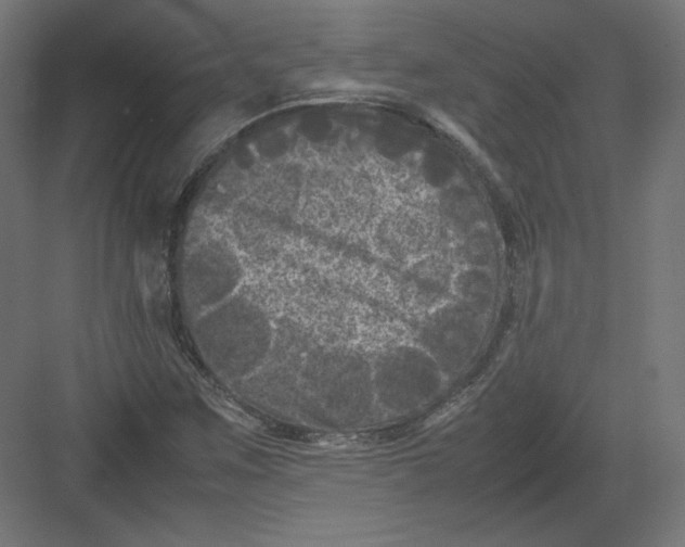 X0000082171259200702092234