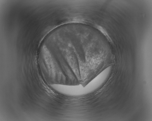 X0000082171260200702092234