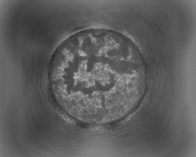 X0000082171263200702092234