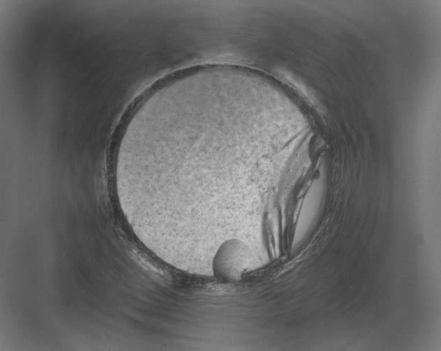 X0000082171264200702092234