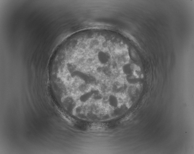 X0000082171267200702092234