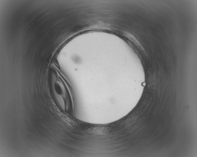 X0000082171268200702092234