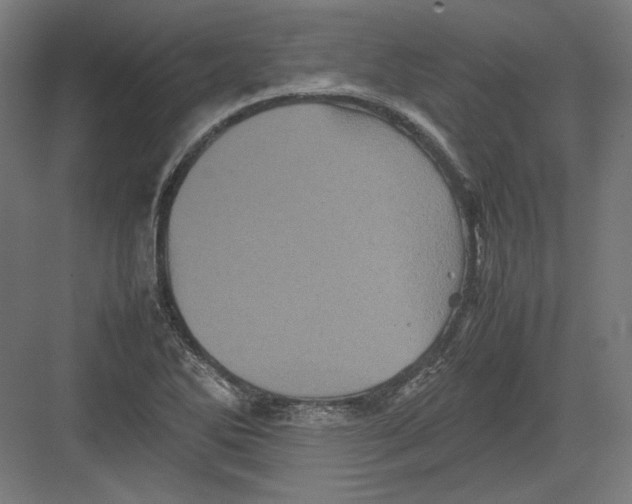 X0000082171270200702092234