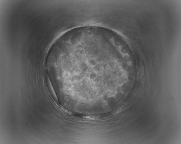 X0000082171271200702092234